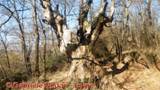 DSCN3124.jpg