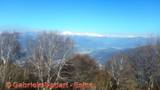 DSCN3194.jpg