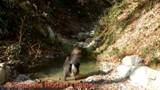 DSCN3253.jpg