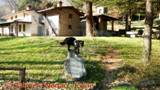 DSCN3261.jpg