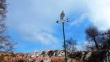 DSCN7878.jpg