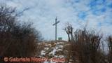 DSCN7904.jpg