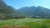 DSCN2477.jpg