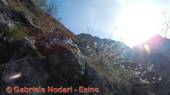 DSCN7195.jpg