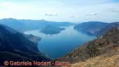 DSCN7248.jpg