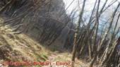 DSCN7289.jpg