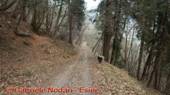 DSCN2112.jpg