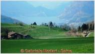 DSCN5409.jpg
