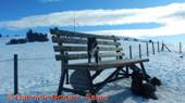 DSCN2290.jpg
