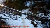 DSCN2308.jpg