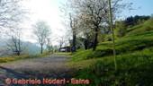 DSCN4626.jpg
