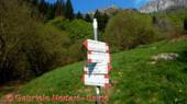 DSCN4647.jpg