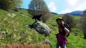 DSCN4658.jpg