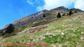 DSCN4675.jpg