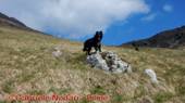 DSCN4677.jpg