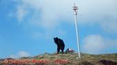 DSCN4687.jpg