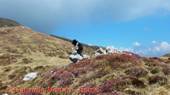 DSCN4697.jpg