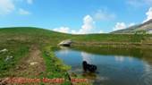 DSCN4745.jpg