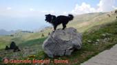 DSCN4750.jpg