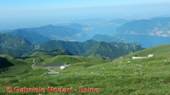 DSCN9290.jpg