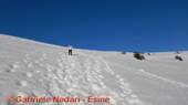 DSCN5780.jpg