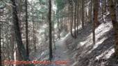 DSCN3559.jpg