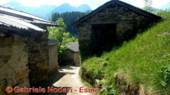 DSCN3564.jpg
