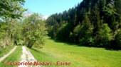 DSCN3567.jpg