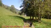 DSCN3568.jpg