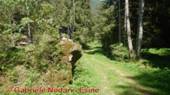 DSCN3572.jpg
