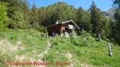 DSCN9055.jpg