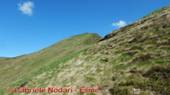 DSCN9073.jpg