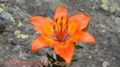 DSCN8160.jpg