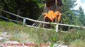 DSCN8164.jpg
