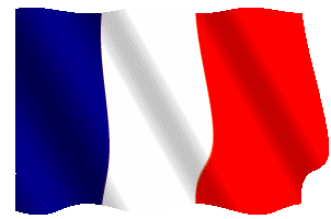 Bandiera_animata_flag_Francia_navale.gif