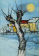 Luna pieno d'inverno 77