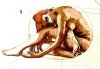 Nudo di ragazza '80