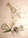 Crocifissione - 1992