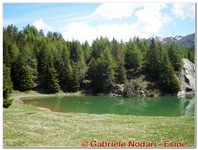 Laghetto di Guspessa.JPG