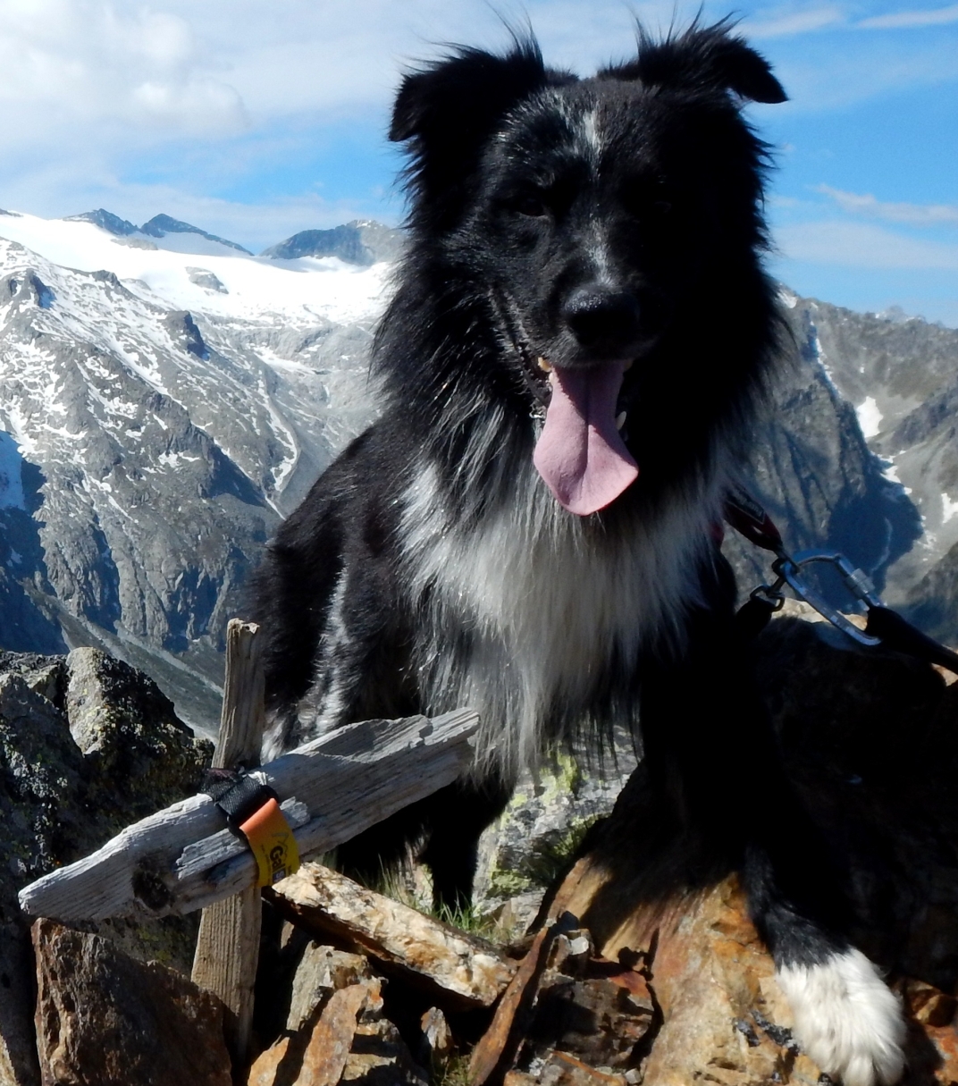 Ettore.JPG