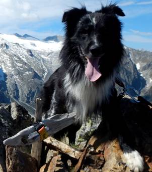 Ettore.JPG