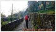 DSCN3470.jpg