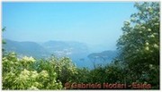 DSCN3476.jpg