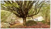 DSCN3526.jpg