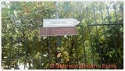 DSCN3534.jpg