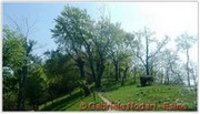 DSCN3536.jpg