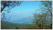 DSCN3541.jpg