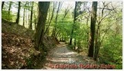 DSCN3563.jpg