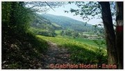 DSCN3565.jpg