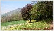 DSCN3572.jpg